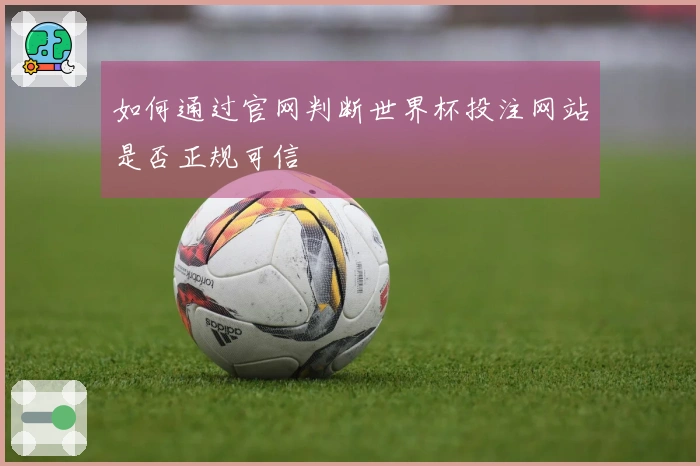 如何通过官网判断世界杯投注网站是否正规可信