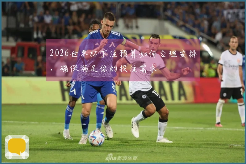 2026世界杯下注预算如何合理安排，确保满足你的投注需求