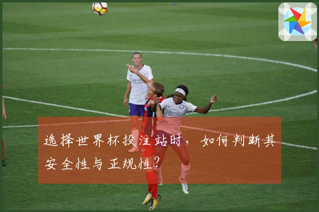 选择世界杯投注站时，如何判断其安全性与正规性？