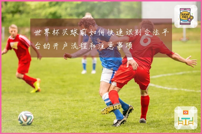 世界杯买球前如何快速识别合法平台的开户流程和注意事项