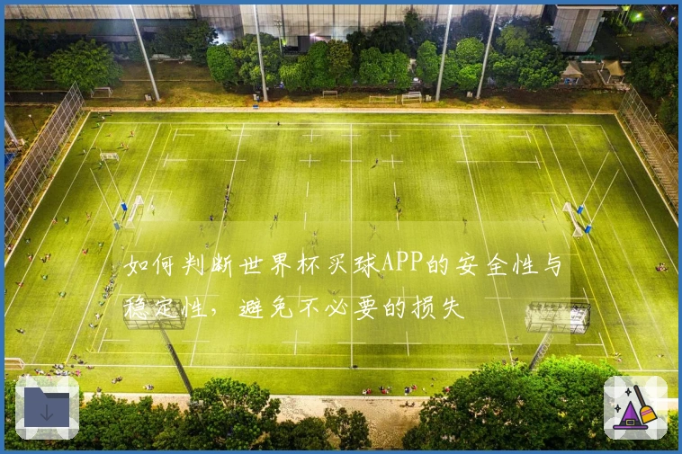 如何判断世界杯买球APP的安全性与稳定性，避免不必要的损失