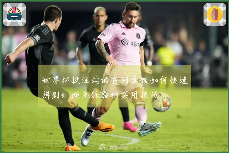 世界杯投注站的官网真假如何快速辨别，避免踩雷的实用技巧