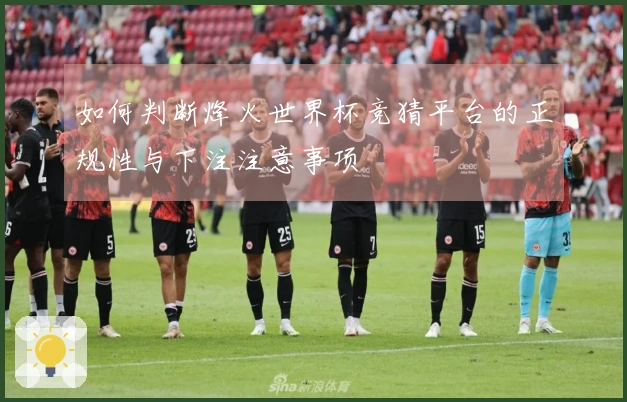 如何判断烽火世界杯竞猜平台的正规性与下注注意事项