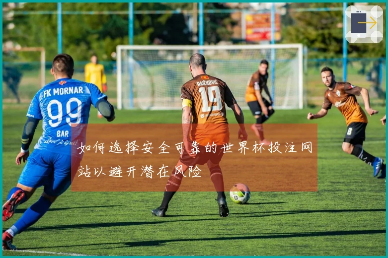 如何选择安全可靠的世界杯投注网站以避开潜在风险