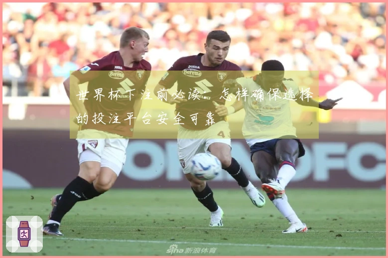 世界杯下注前必读：怎样确保选择的投注平台安全可靠