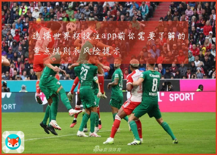 选择世界杯投注app前你需要了解的重点规则和风险提示