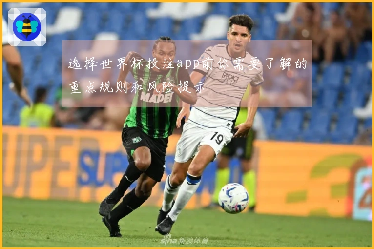 选择世界杯投注app前你需要了解的重点规则和风险提示