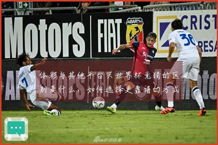 体彩与其他平台买世界杯竞猜的区别是什么，如何选择更靠谱的方式？