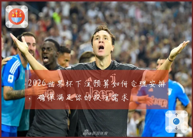 2026世界杯下注预算如何合理安排，确保满足你的投注需求