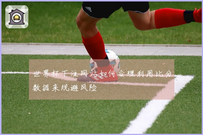 世界杯下注网站如何合理利用比分数据来规避风险