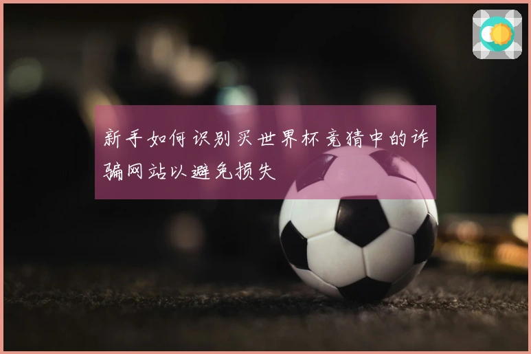 新手如何识别买世界杯竞猜中的诈骗网站以避免损失