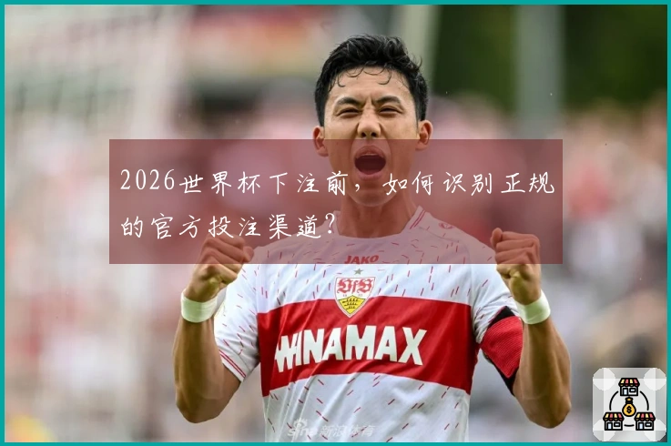 2026世界杯下注前，如何识别正规的官方投注渠道？
