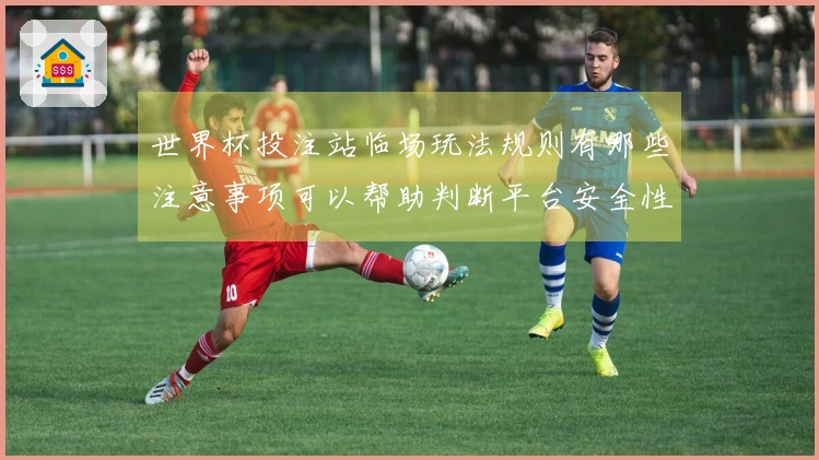 世界杯投注站临场玩法规则有哪些注意事项可以帮助判断平台安全性