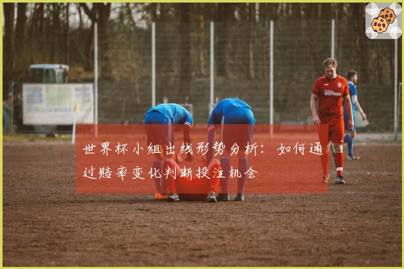 世界杯小组出线形势分析：如何通过赔率变化判断投注机会