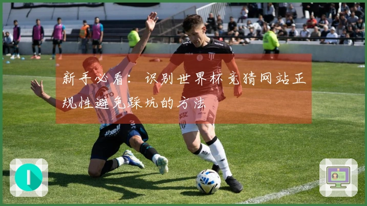 新手必看：识别世界杯竞猜网站正规性避免踩坑的方法