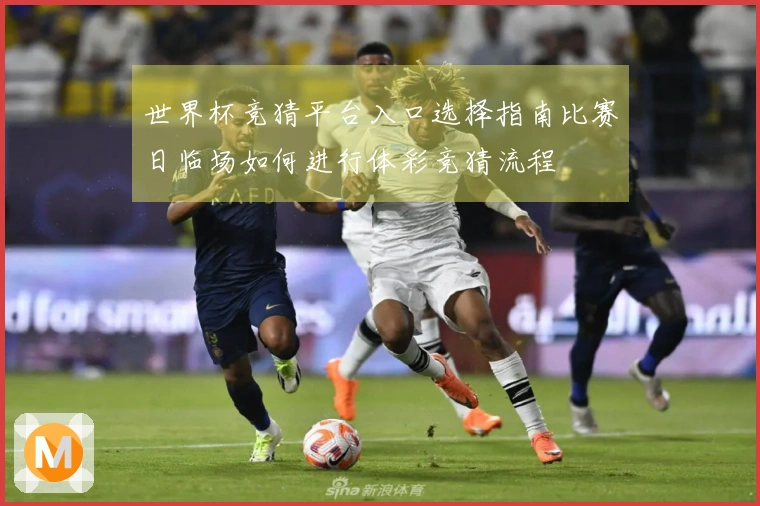 世界杯竞猜平台入口选择指南比赛日临场如何进行体彩竞猜流程