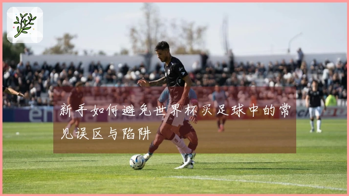 新手如何避免世界杯买足球中的常见误区与陷阱