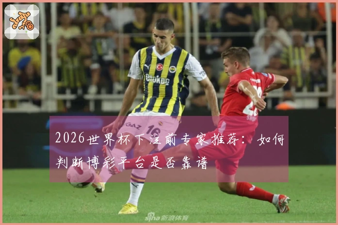2026世界杯下注前专家推荐：如何判断博彩平台是否靠谱