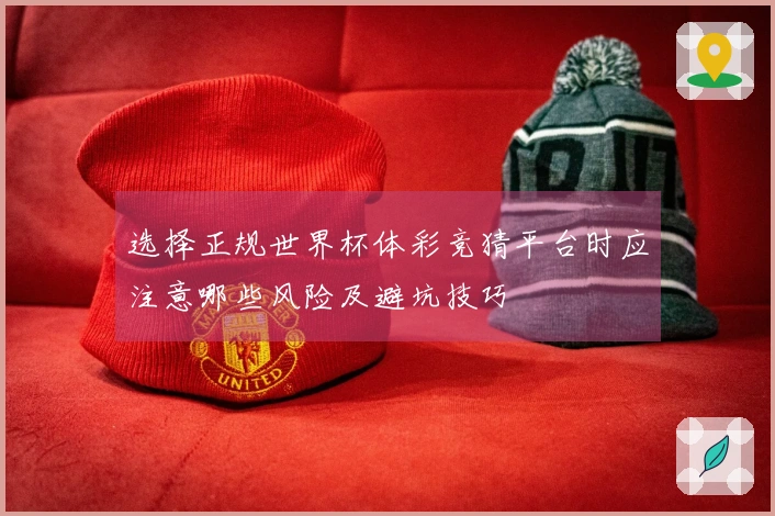选择正规世界杯体彩竞猜平台时应注意哪些风险及避坑技巧