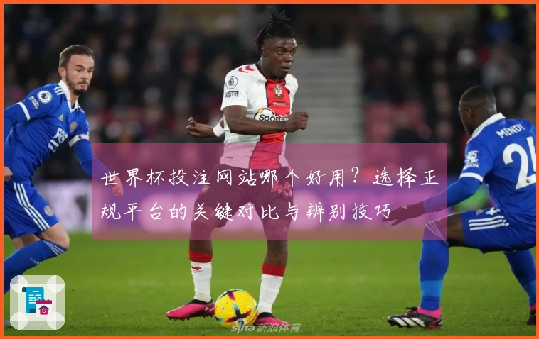 世界杯投注网站哪个好用？选择正规平台的关键对比与辨别技巧